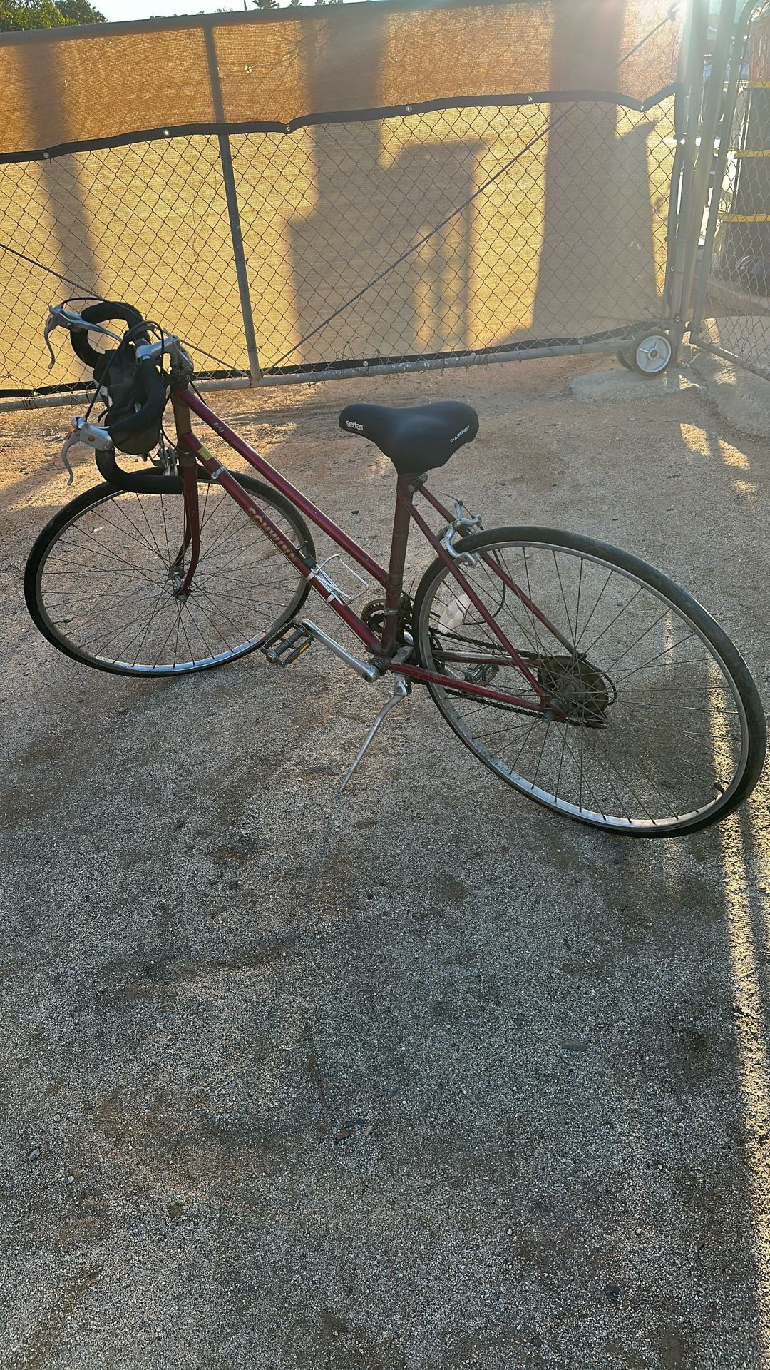 Schwinn Bike