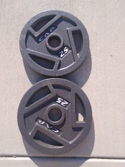 25lbs Olympic Weights 
