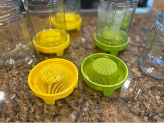 Sprouting kit 6 mash lids and 6 glass jars