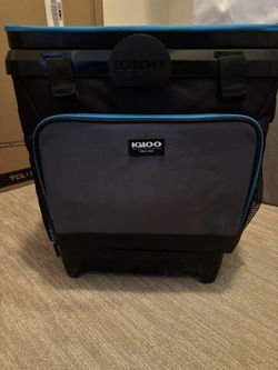 Ice Cooler With 4 Ice Packs