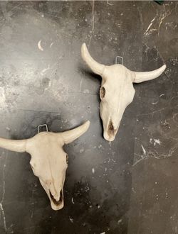 Mini Cow Skull 