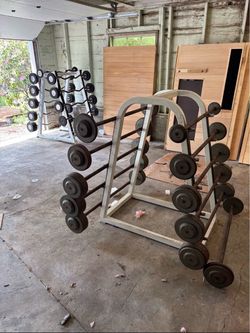 Gym Barbells Weights
