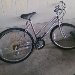 Womans 15 Speed