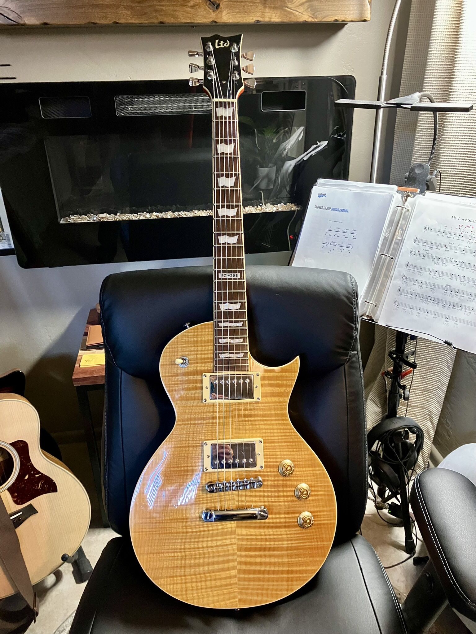 ESP LTD EC-256FM Electric Guitar