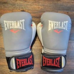 Everlast Boxing Gloves **Like New**