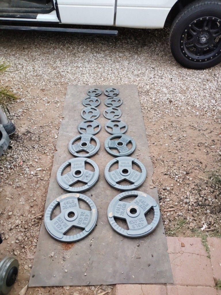 255lbs Olympic Weights 