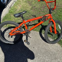 Mongoose 