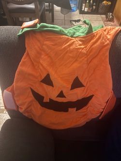 Dog Halloween costume