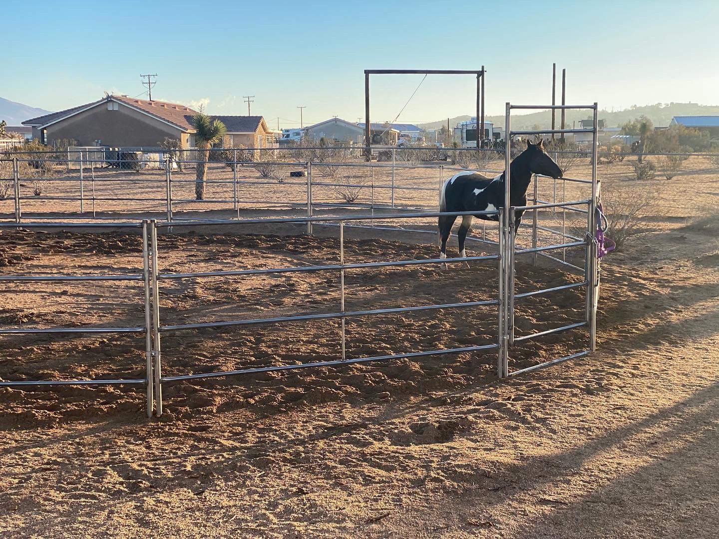 Round Pen For Horses 50ft (4-rail)