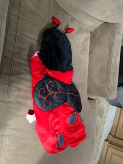 Large dog ladybug costume,