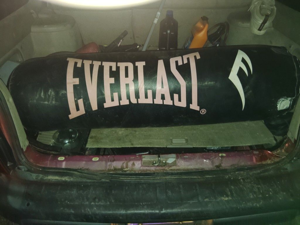 Heavy Duty Punching Bag 35th Dunlap