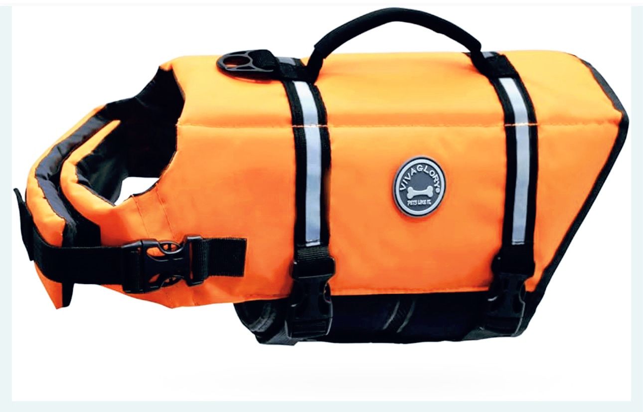 Sports Style Dog Life Vest, Dog Life Jacket for Swimming & Boating, Ripstop & Buoyancy for Puppy Doggy, Lifejacket with Handle, M, Bright Orange