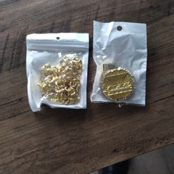 Iced Out Chain And Charm