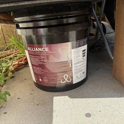 Catalina flooring glue