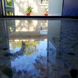 Terrazzo Floor