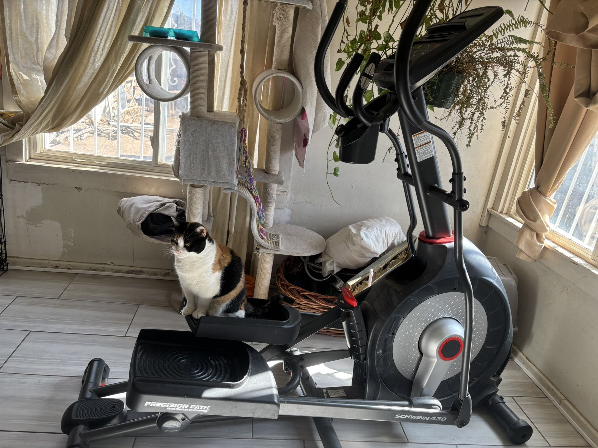 Elliptical Bike