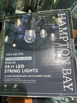 12-Light Indoor/Outdoor 24 ft. String Light with S14 Single Filament LED Bulbs