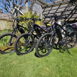 1, 2, or 3 E-Bikes $600 Each Or $1500 For All!