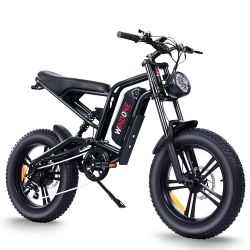 WINDONE E2 Electric Bike for Adults, Full Suspension, 48V13Ah Removable Battery