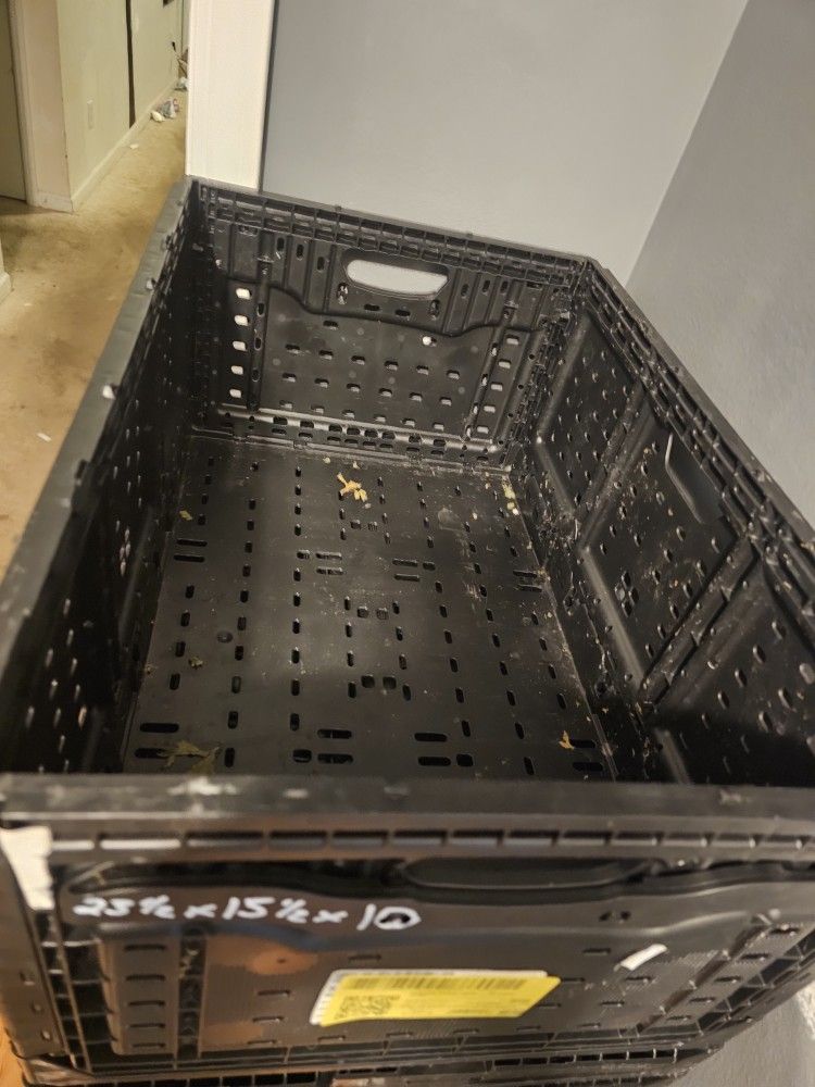 Storage Bins