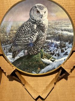 Morning mist owl plate
