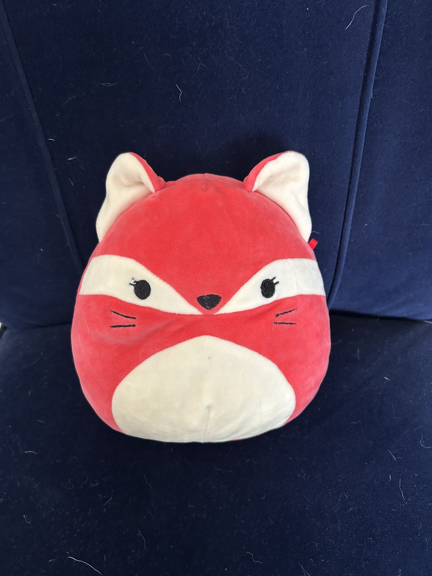 8in Red fox Squishmallow