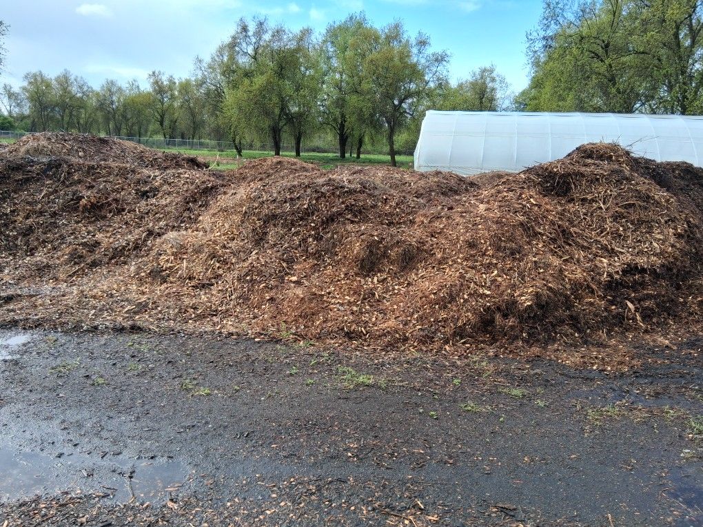 Wood Chips