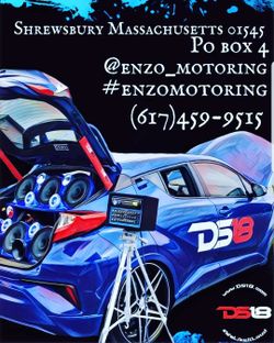 Ds18 authorized dealer