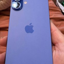 iPhone 16 Plus Blue 