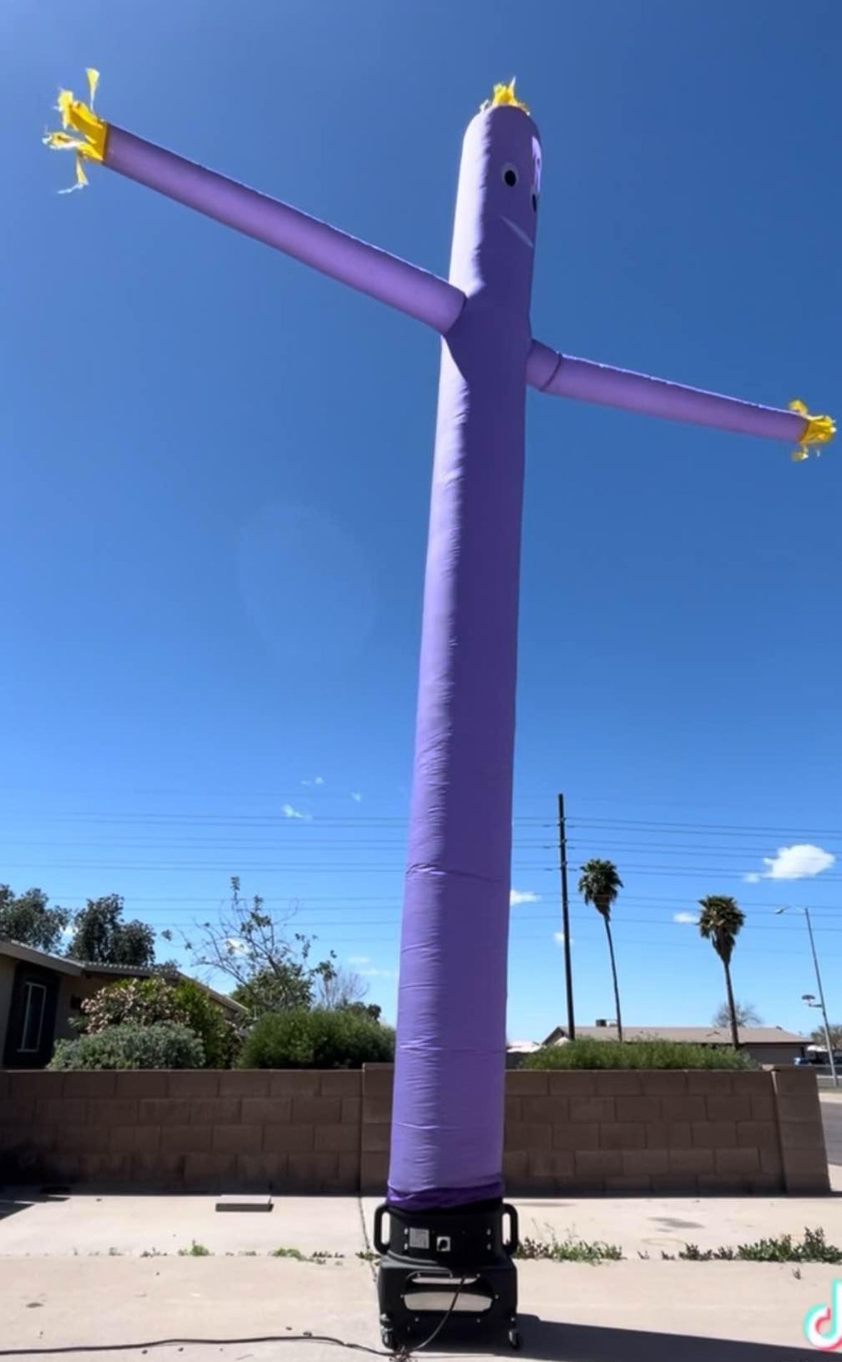 Air Dancer Blower With Purple tube man