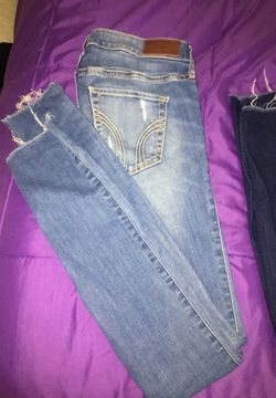 hollister pants
