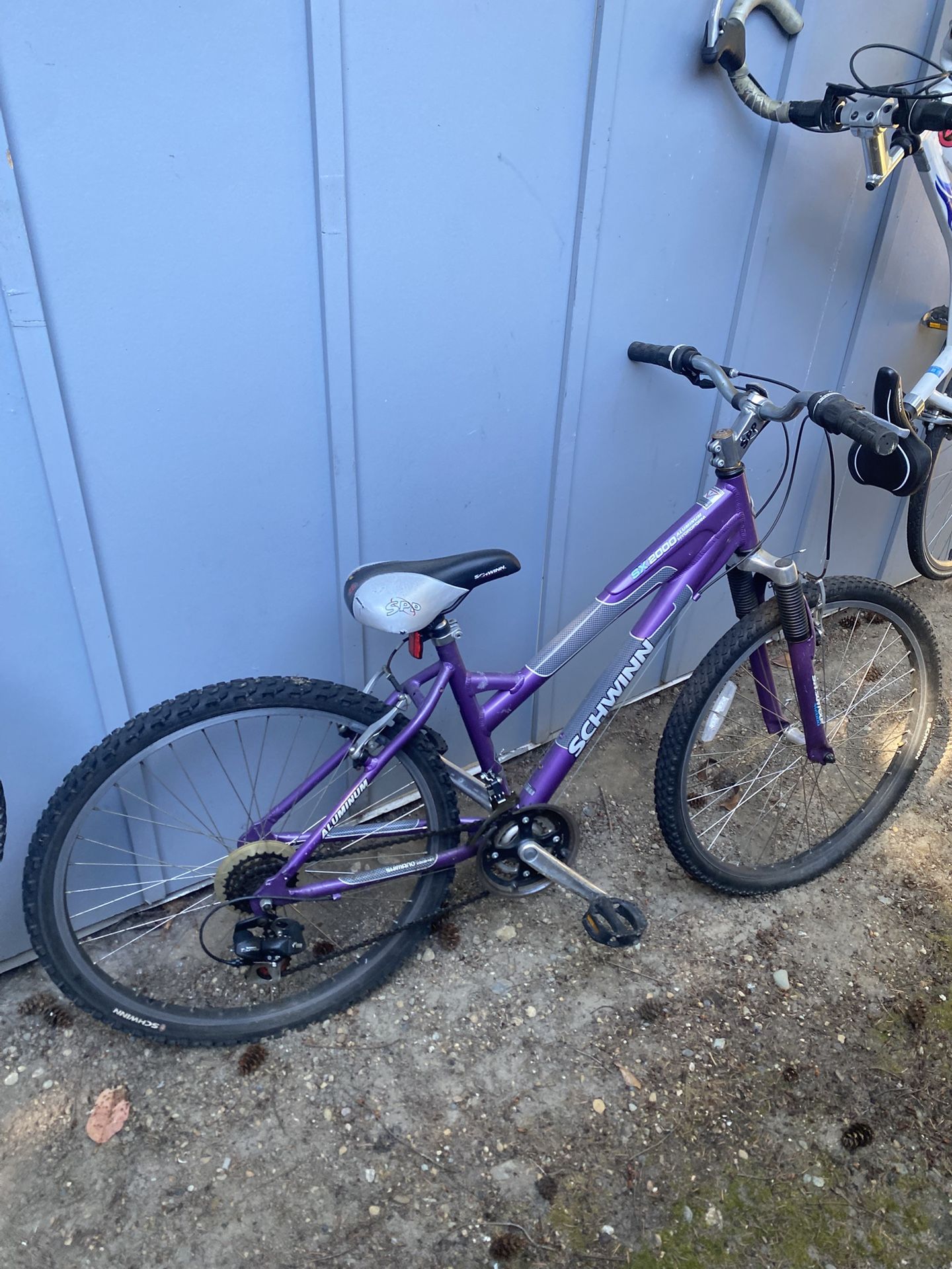 Schwinn Bike