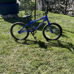 20 INCH BIKE