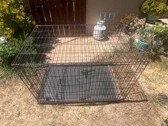 Large Wire Dog Crate with Tray