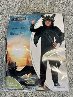 How to Train your Dragon Toothless costume