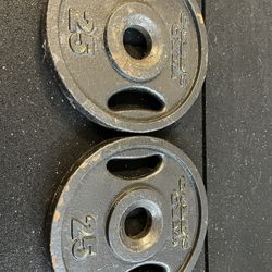 25lb Bar Weights
