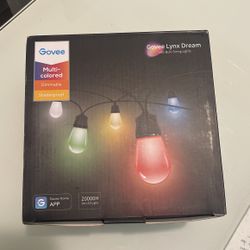 Govee Smart Outdoor string Lights