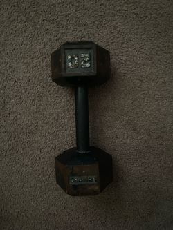 20 pound weight