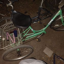 Sun 3 wheel Bike