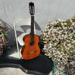 Acoustic  Lelon Strings Guitar 