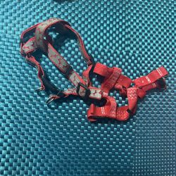 Small Dog Harness 
