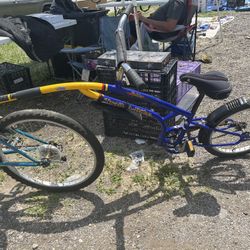 Take Along Bike 20’ Inch 