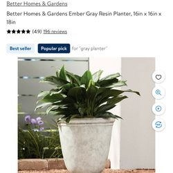 Better Homes and Garden Plant Pot 