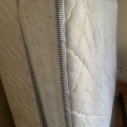 FREE BEDS, CHAIR & DESK 