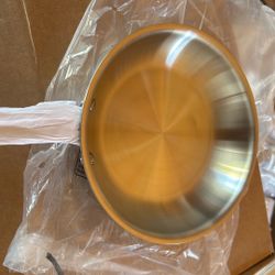 All Clad 8 Inch D5 Stainless Steel Fry Pan 