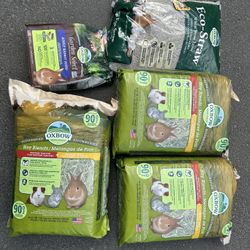 Bunny Items