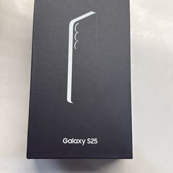 Samsung Galaxy S25
