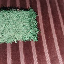 AUTHENTIC THREE RIVERS FIELD ARTIFICIAL TURF RELIC