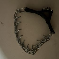 Prong Collar 