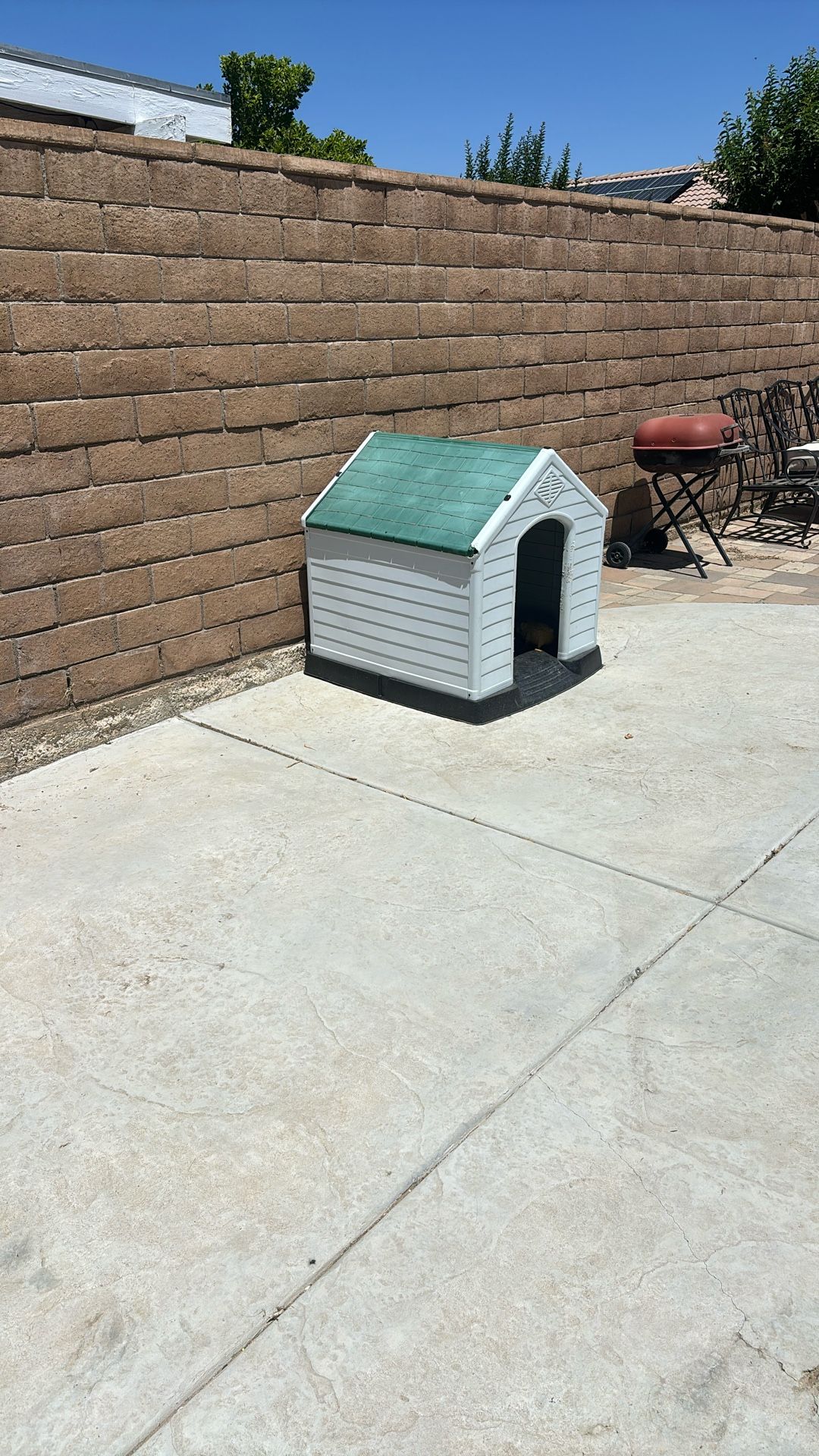 Xl Dog House